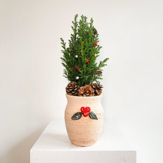 elwoodiimistletoe271100