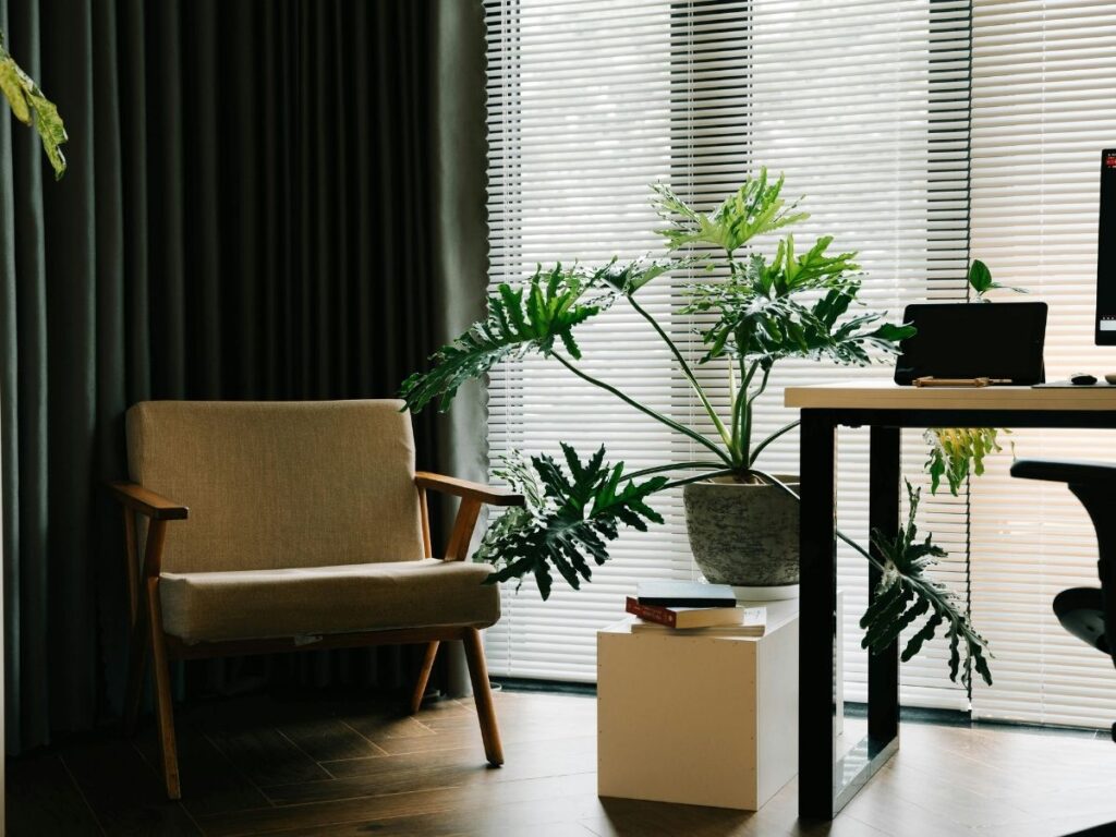 Ofis Çalışma Masası Bitki Önerileri
