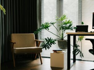 Ofis Çalışma Masası Bitki Önerileri