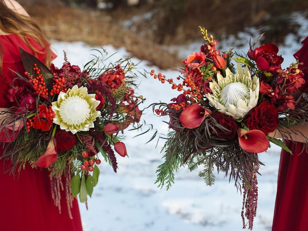 Kış Aylarında Bakılabilecek 10 Bitki Türü (İç Mekân)