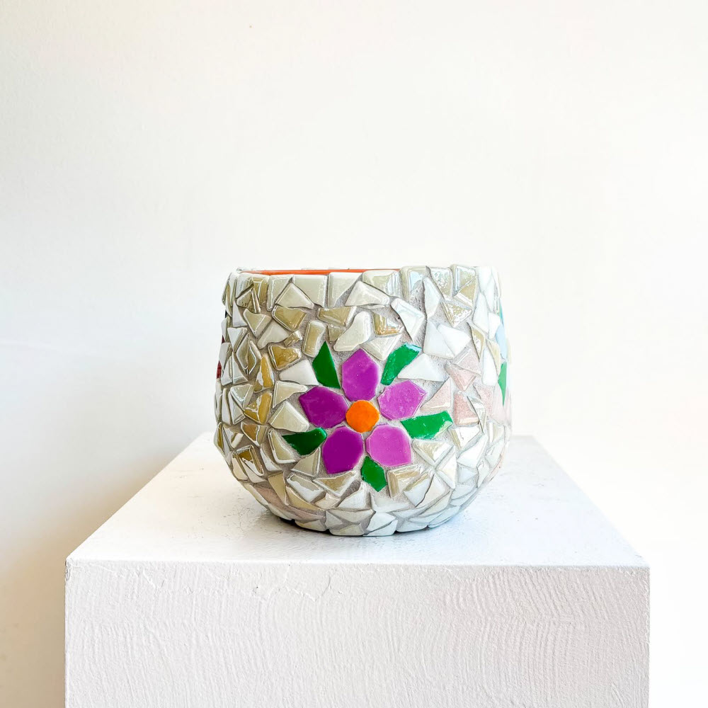tessera daisy mix