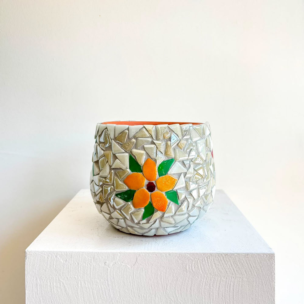 tessera daisy mix