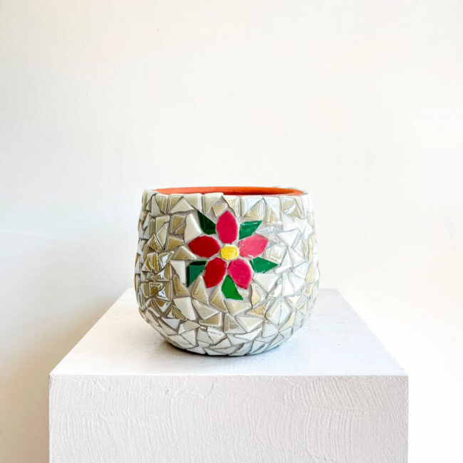 tessera daisy mix