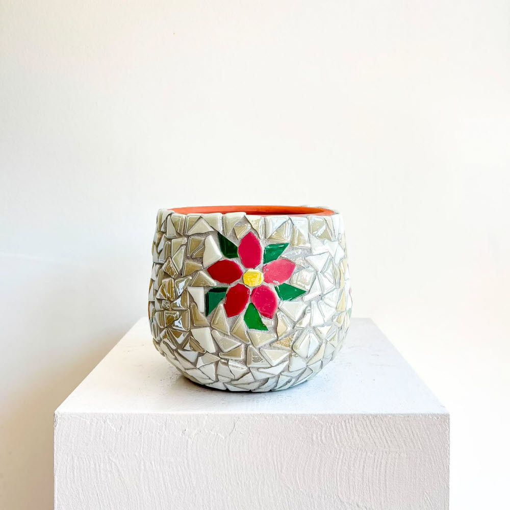 tessera daisy mix